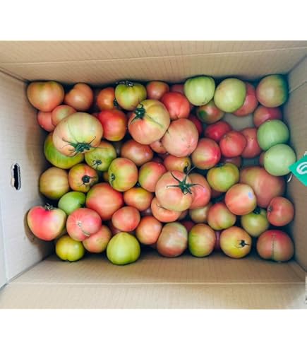 Amazon.co.jp: 808 Fruit & Vegetable Shop 808 Yaohachi [Made in