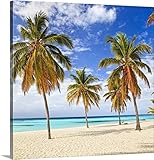 Antonino Bartuccioプレミアムシックラップキャンバス壁アート印刷題名Dominican Republic、La Romana、Parque Nacional del Este、Isla