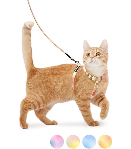 ハンドラー やさしい猫胴輪付きリード SS ゼブラ柄 [猫用ハーネス・リード] i8my1cf Amazon | ハンドラー やさしい猫胴輪付きリード SS ゼブラ柄 [猫