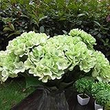 Auntwhale 人工シルクフェイクフラワーバンチブーケホームホテルウェディングパーティーガーデン花インテリアアジサイ