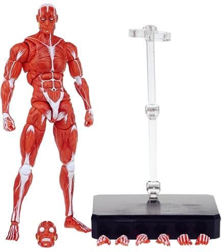 ユージン 原色人体解剖図鑑Ⅱ 完全版 全8種 コンプリートセット