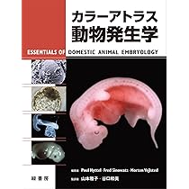61Zo7hJVP6L._AC_UL210_SR210,