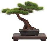 プラッツ 1/12 ザ・盆栽 弐 プラモデル BON-02
