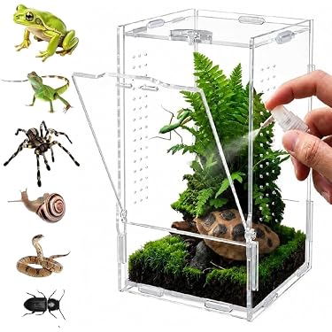 Amazon.co.jp 最新リリース: 爬虫類・両生類用飼育ケース・ケージ の