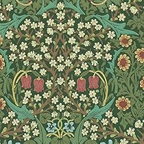 61ZqkiAYZVL._AC_UL210_SR210,