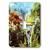 Scenes from the Pastマジックランタン – ヴィンテージJapanese Nunobiki Waterfall神戸日本1910 – 照明スイッチカバー – シングルトグルスイッチ( 