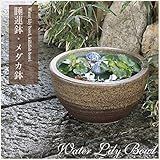 信楽焼 10号窯肌 すいれん鉢 メダカ鉢 睡蓮鉢 スイレン鉢 金魚鉢 水鉢 陶器 su-0140 (窯肌色)