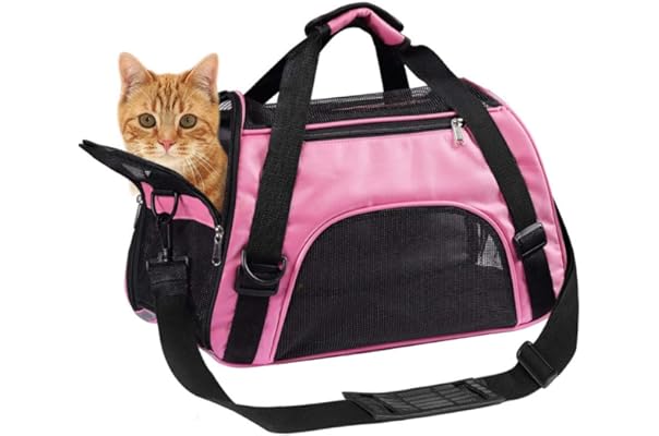 cat bag carrier amazon