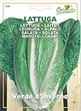 野菜の種 ローメインレタス(コスレタス)・インベルノ