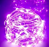 Izzy Creation Pink LED String Lights (UL Adapter Included), 100 LEDs, 33 ft, Silver Coating Copper W