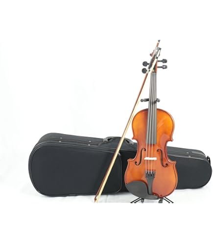Amazon.co.jp: Carlo Giordano VS-2 4/4 Violin Outfit : Musical