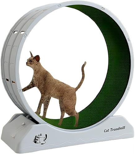 Amazon.co.jp: HOTGEEJPキャットホイール 大型猫 回し車 屋内猫用の