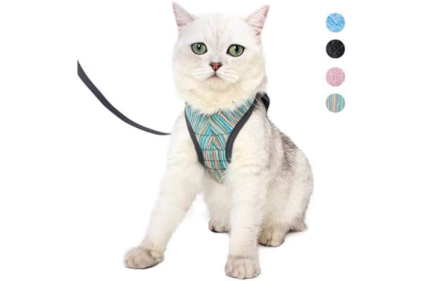 cat harness amazon