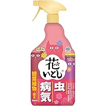 Amazon.co.jp: アガベ ホリダ 実生選抜 特選 コレクション株 強棘