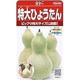 サカタのタネ 実咲野菜0977 特大ひょうたん 天下一 00920977
