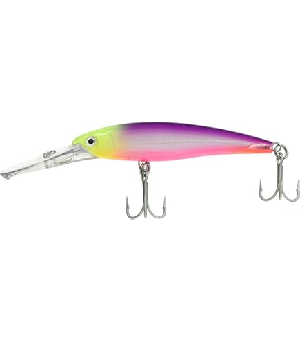 Leurre Rapala X-Rap Magnum 17 - Couleur Anchois - Crankbait Neuf USA
