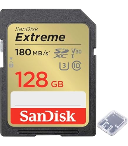 サンディスク エクストリーム プラス SDXC 128GB防振