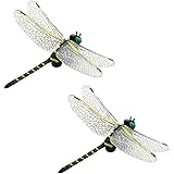 Amazon サンライン Sunline Msy おにやんま君 サンライン Sunline アクセサリー