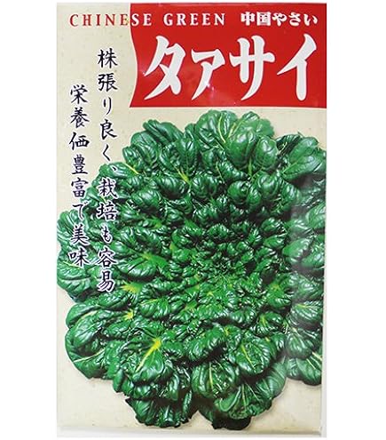 ターサイ　苗　15株　① Amazon.co.jp: 日光種苗 ターサイ （タアサイ、ターツァイ） ［1857