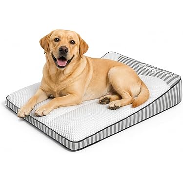 Amazon.co.jp 最新リリース: 犬用ベッド・クッション の新着ランキング