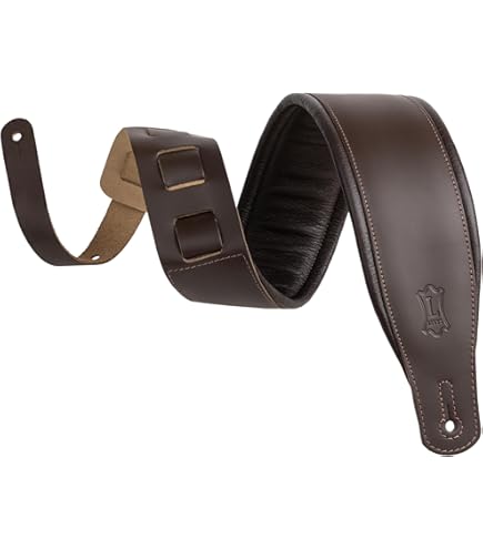 Amazon | Epiphone 940-E519 ハードケース セミアコ用 (エピフォン