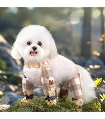Amazon.co.jp: マルカン はかせやすいおさんぽシューズ XSサイズ 超