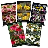 [花タネ][少量の宿根草種]エキナセア 5種セット* ノーブランド品