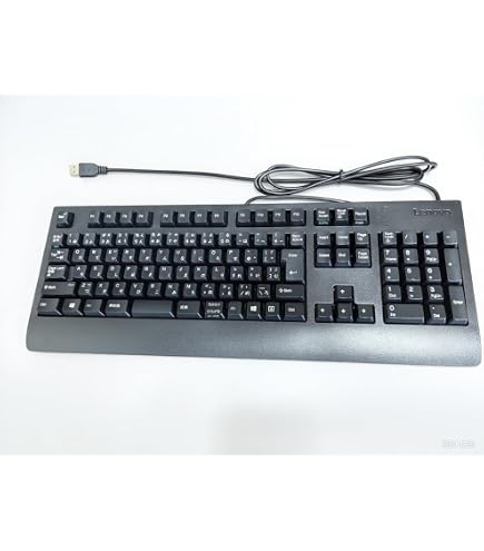 Amazon.co.jp: レノボ・ジャパン プリファードプロ II USBキーボード