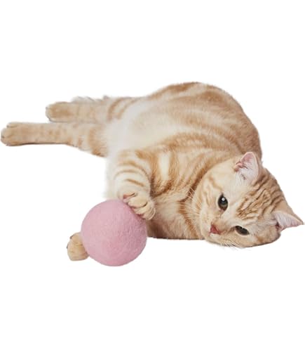 Amazon.co.jp: Ball＆Chain カファレル ボールアンドチェーン