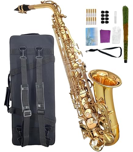 Amazon.co.jp: P. Mauriat アルトサックス ダークケース付き SYSTEM