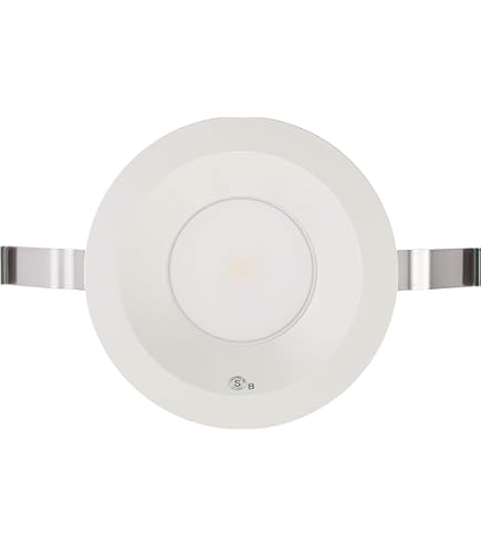 Amazon.co.jp: 大光電機（DAIKO） ダウンライト(軒下兼用) LED