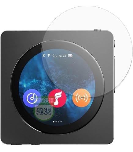 Amazon.co.jp: FIIO Snowsky DISC FIO-SSDISC【日本正規品・シリアル