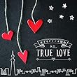 決定盤 恋するドラマ主題歌 TRUE LOVE