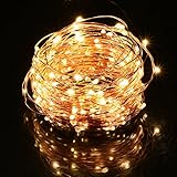 LightsEtc　usbイルミネーションLEDライト　全長10M　LED100灯 　高輝度（10レベル）と点灯モード（8パターン）・コントローラ付き　防水仕様 (シャンパンゴールド)
