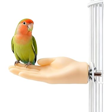 Amazon.co.jp 最新リリース: 鳥用止まり木 の新着ランキングです。