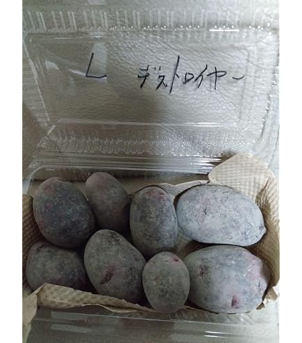 しょ－た様　自然薯　1本21〜30g 一本苗　200本　消毒済み　種芋 Amazon.co.jp: 自然薯 1本 21?30g 一本苗 20本 消毒済み 種芋 : DIY