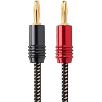 with Gold Plated Banana Plug Connectors 