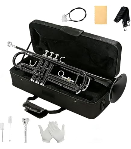 Amazon.co.jp: Bbバリトンホルン楽器3バルブバリトンシルバーメッキABS