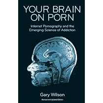 Your Brain on Porn: Internet Pornography and the Emerging Science ...