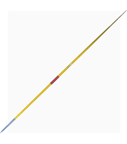 Amazon | Storm Fate 15ポンド | Storm | 槍投げ