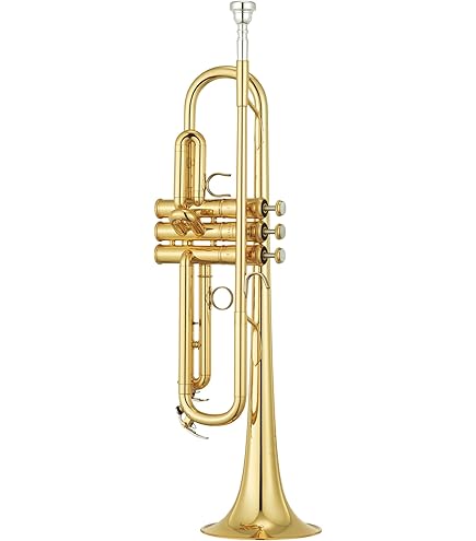 Amazon.co.jp: ヤマハ YAMAHA トランペット YTR-4335GII : 楽器・音響機器