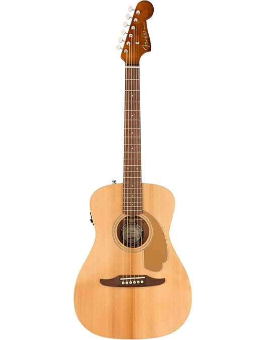 Amazon | Fender エレアコ Malibu Player, Arctic Gold ソフトケース 