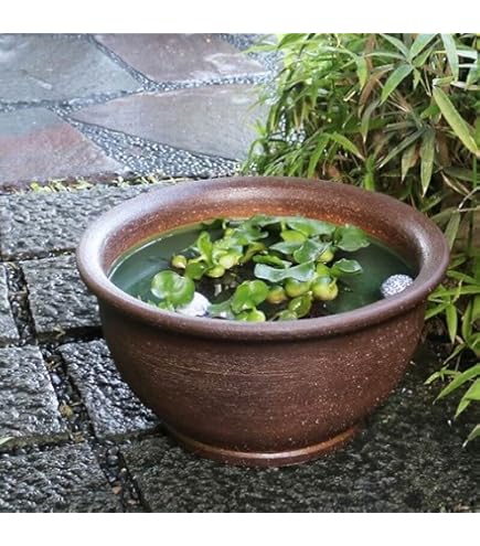 Amazon.co.jp: 信楽焼 水鉢鉢【青窯変天水水鉢 特大サイズ su-0229