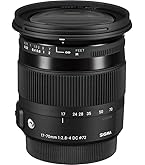 Amazon.co.jp: TAMRON 大口径ズームレンズ SP AF17-50mm F2.8 XR DiII