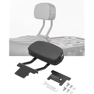 Amazon.co.jp 最新リリース: バイク用バックレスト の新着ランキングです。