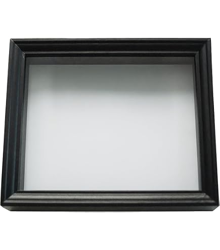 Amazon.co.jp: 【UVカット】小型ドイツ型標本箱（黒） : おもちゃ