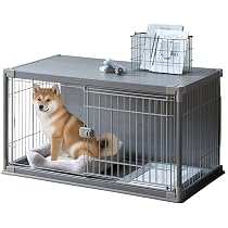 Amazon.co.jp: アイリスオーヤマ インテリアウッディサークル PIWS