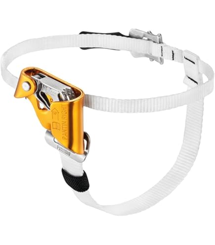 Amazon | PETZL(ペツル) B17ALA アッセンション L | ペツル(PETZL