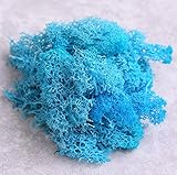 Tenjoyshop ドライモス ハーバリウム レジン 10ｇ 透明袋封入 パーツ アイスランドモス ハンドメイド 飾り物 ジン手芸 4個入（色選択可） (ピンク)