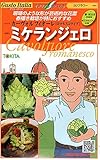 【種子】 Gusto Italia カリフラワー カーヴォルフィオーレ （ロマネスコタイプ） ミケランジェロ トキタのタネ